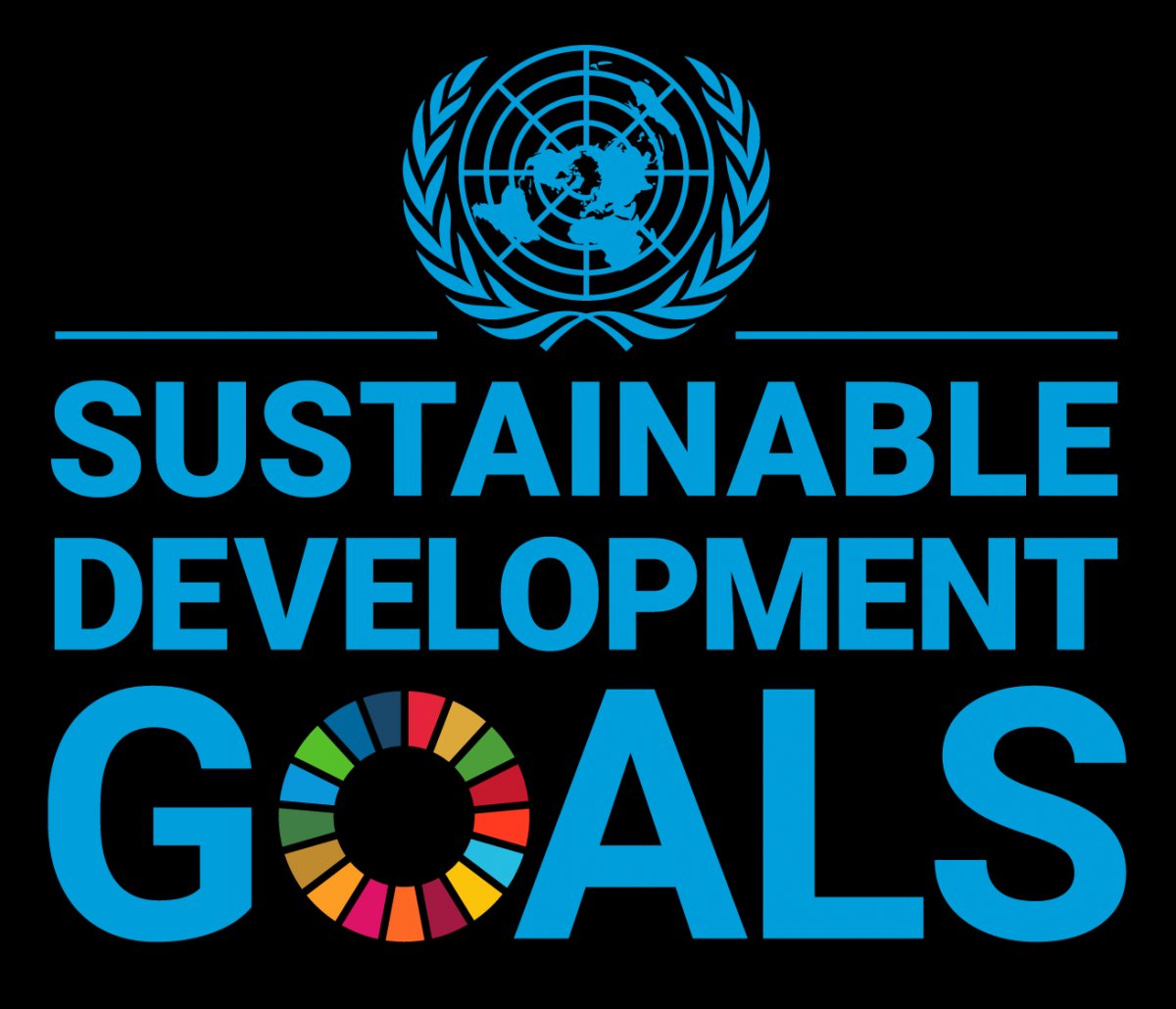 UN SDGs
