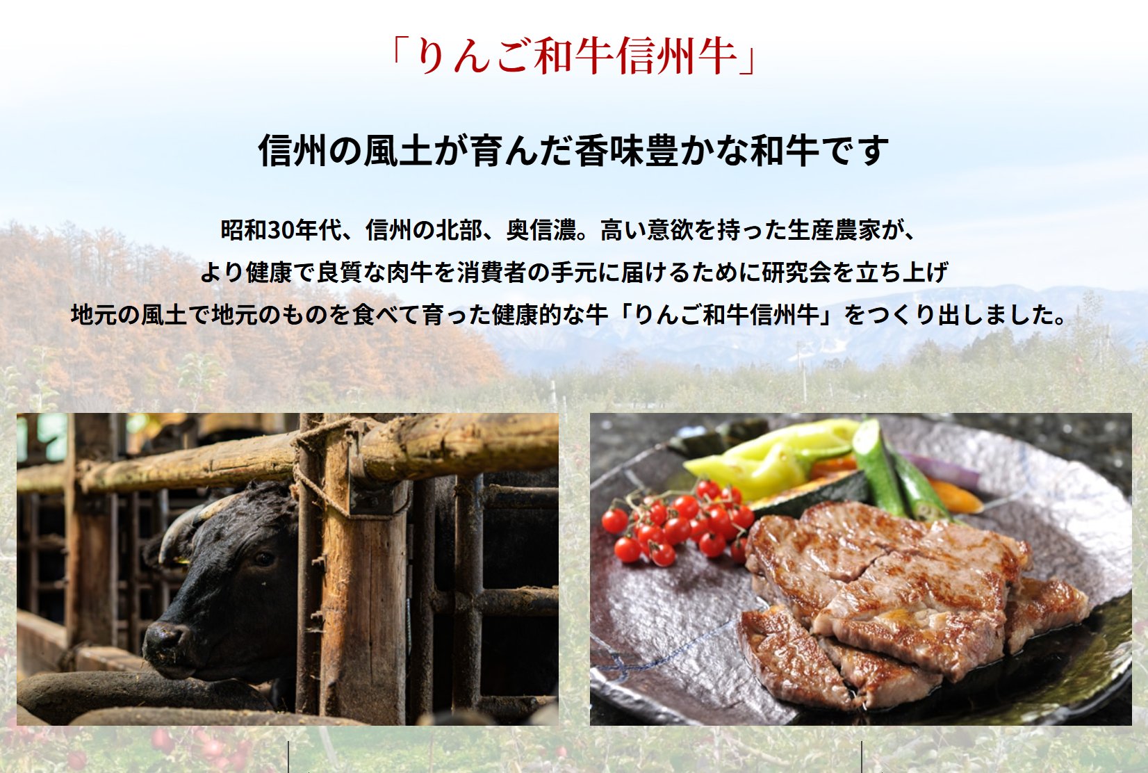 信州産りんご搾りかすを飼料に取り入れた和牛1